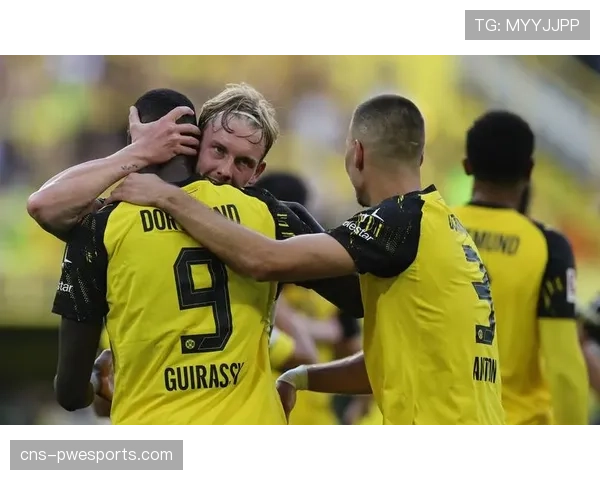 德甲焦点战因球迷抗议中断,多特蒙德主场掷下大量网球 德甲焦点战因球迷抗议中断,多特蒙德主场掷下大量网球